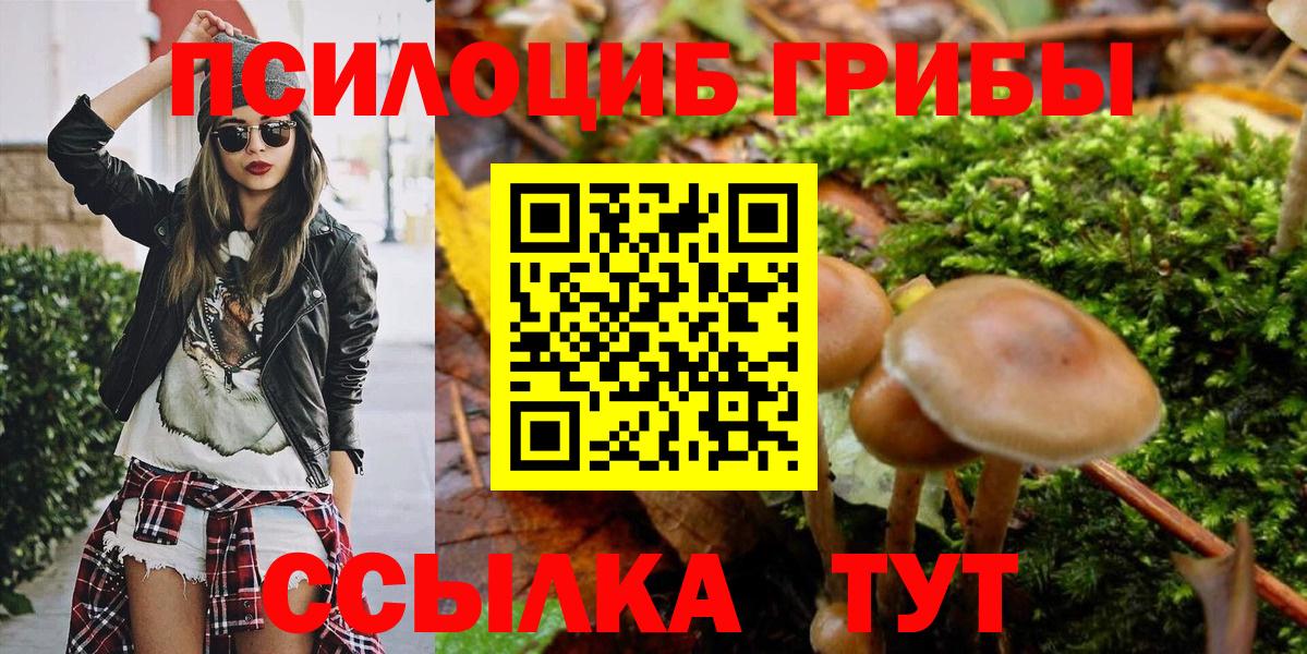 Галлюциногенные грибы Psilocybine cubensis  Вход с VPN  Ханты-Мансийск 